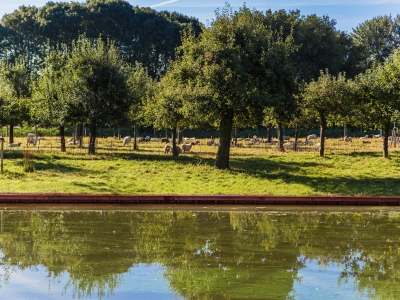 Beschoeiing grote gracht Montfoort